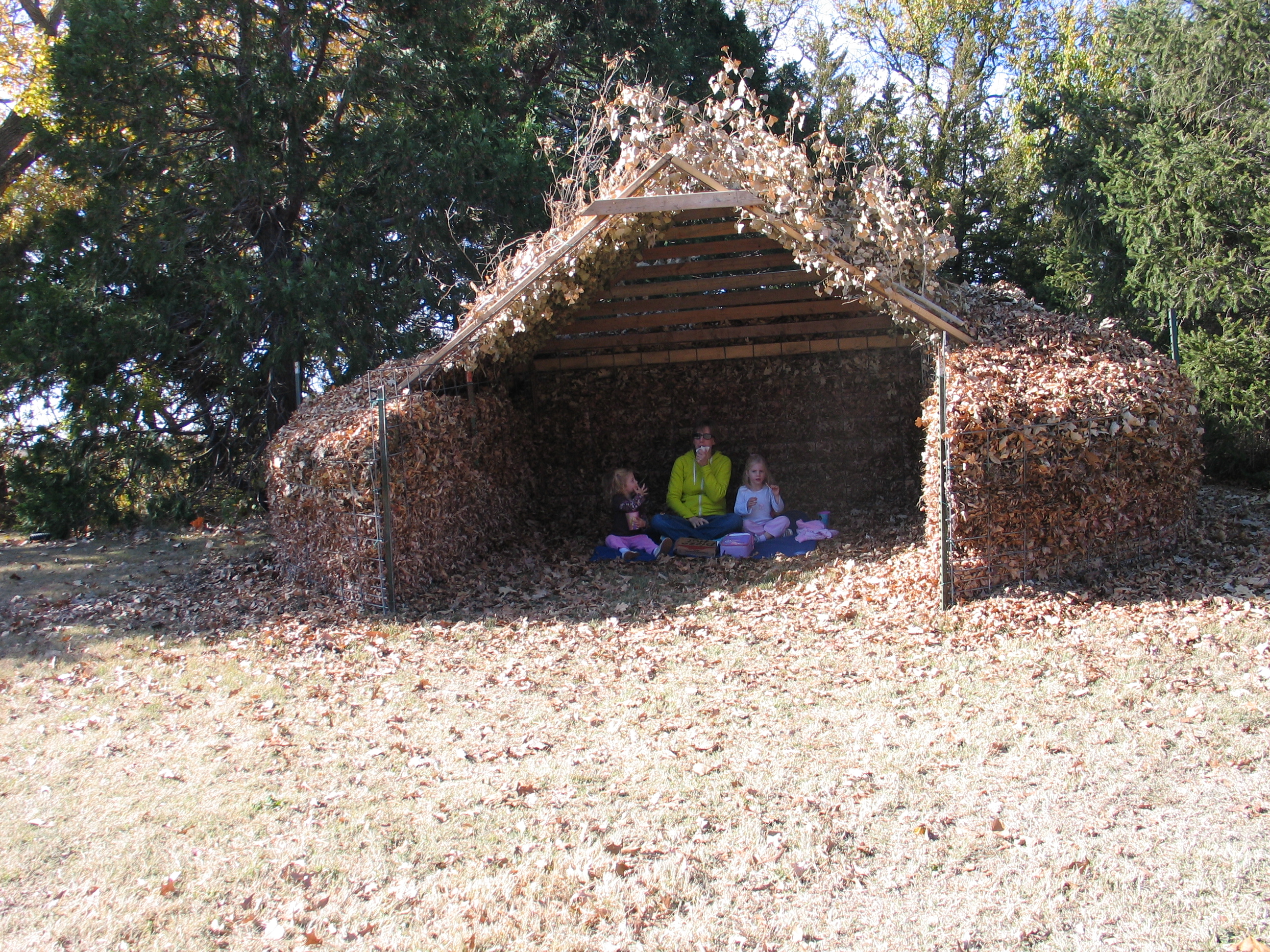 What to Do with Those Leaves, Leaves, Leaves. - Dyck Arboretum