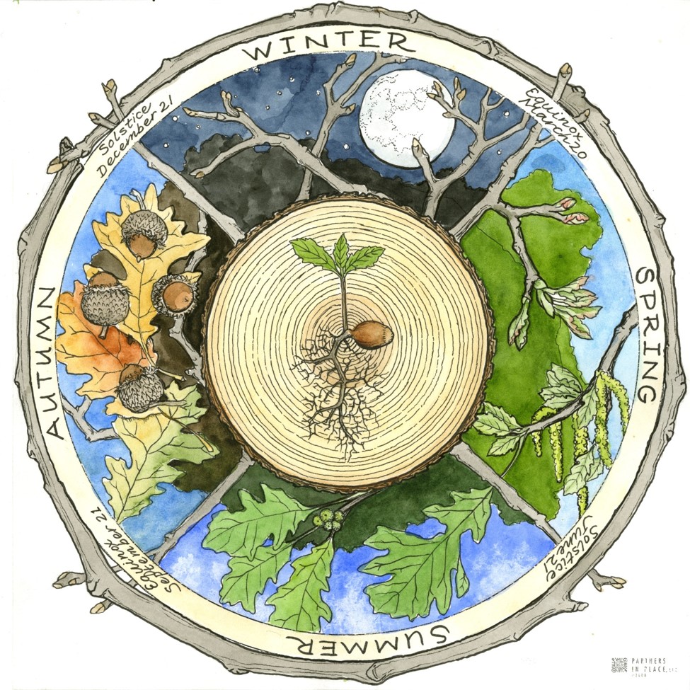 phenology wheel Archives - Dyck Arboretum