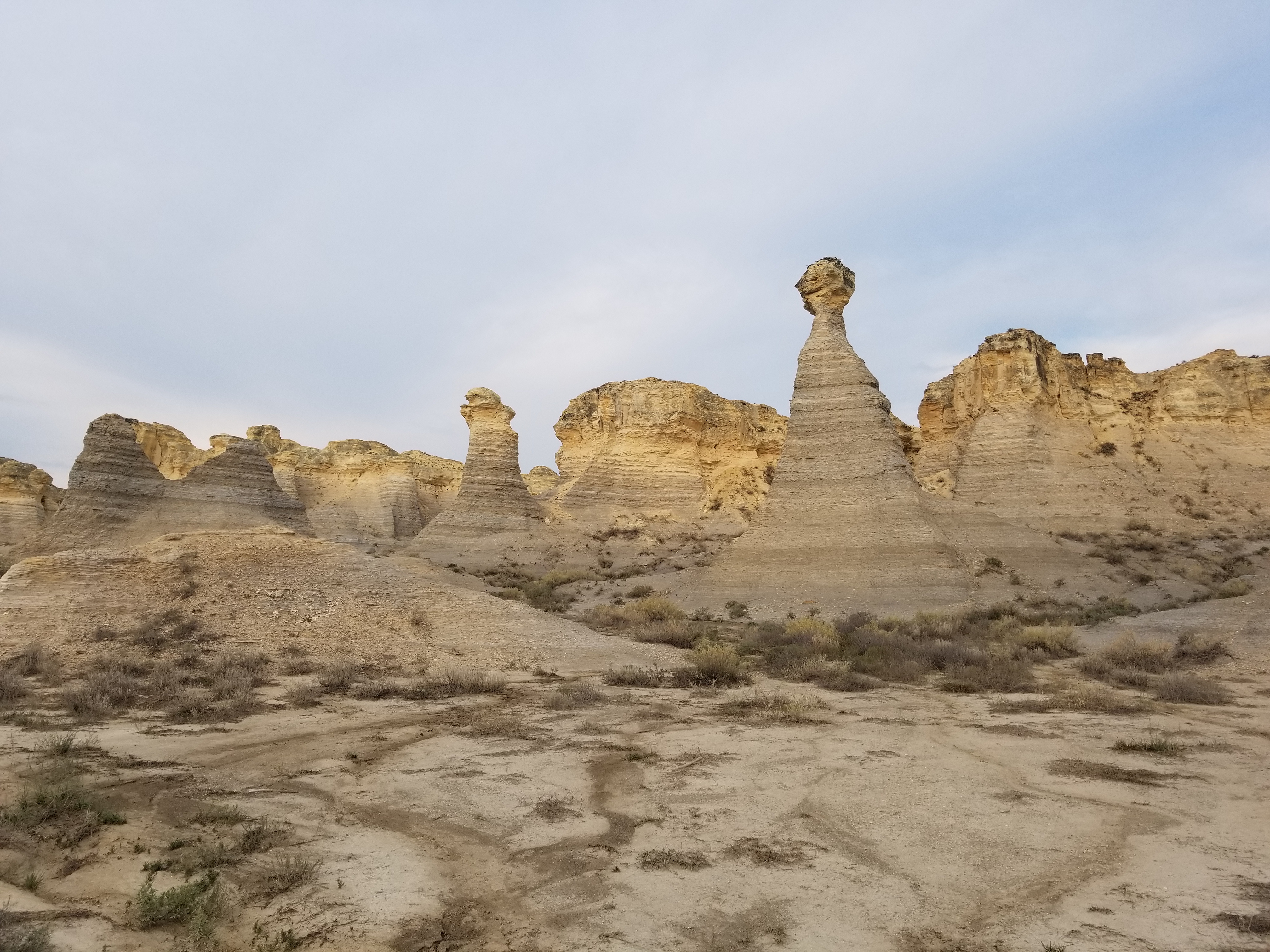 Conserving the Gems of Kansas