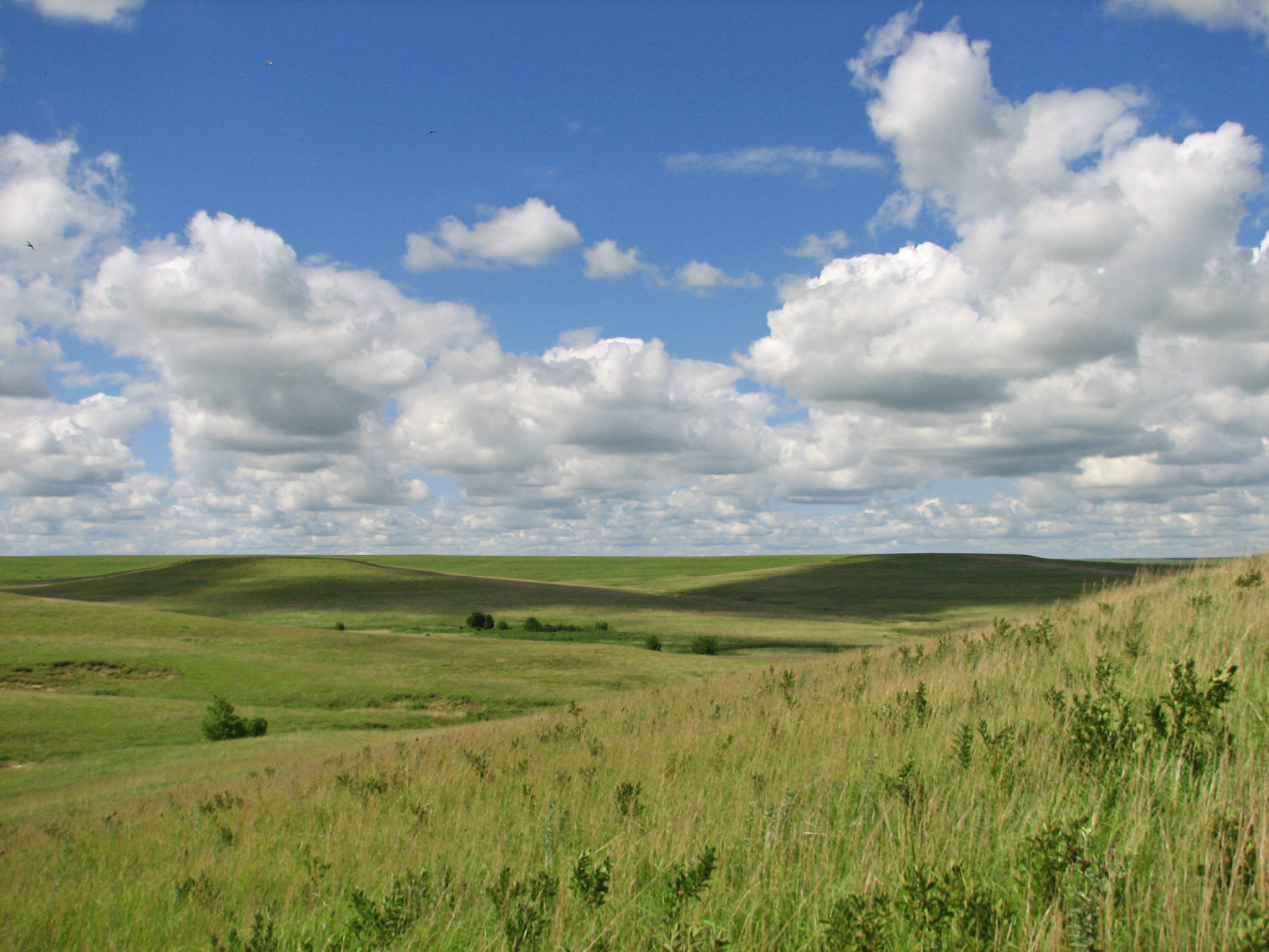 tallgrass prairie national preserve