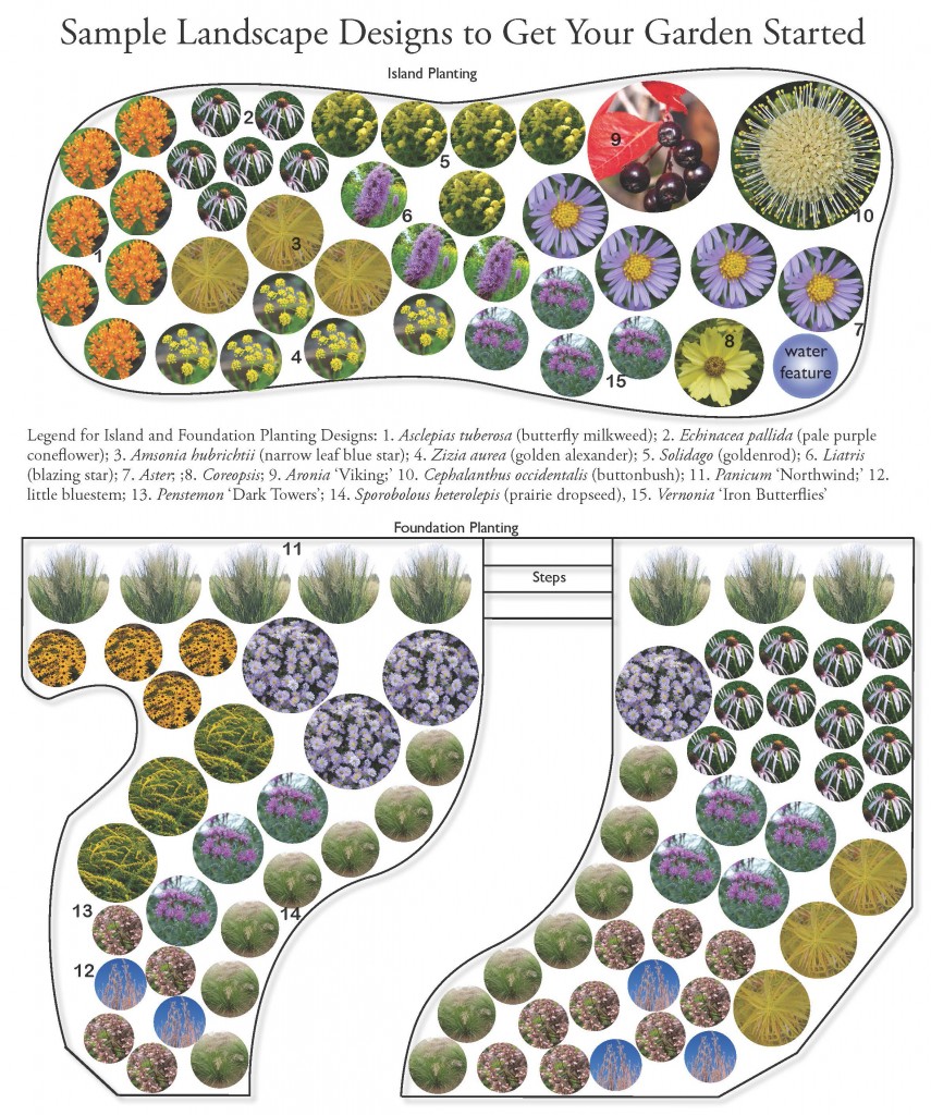 Native Plant School: Designing with Natives