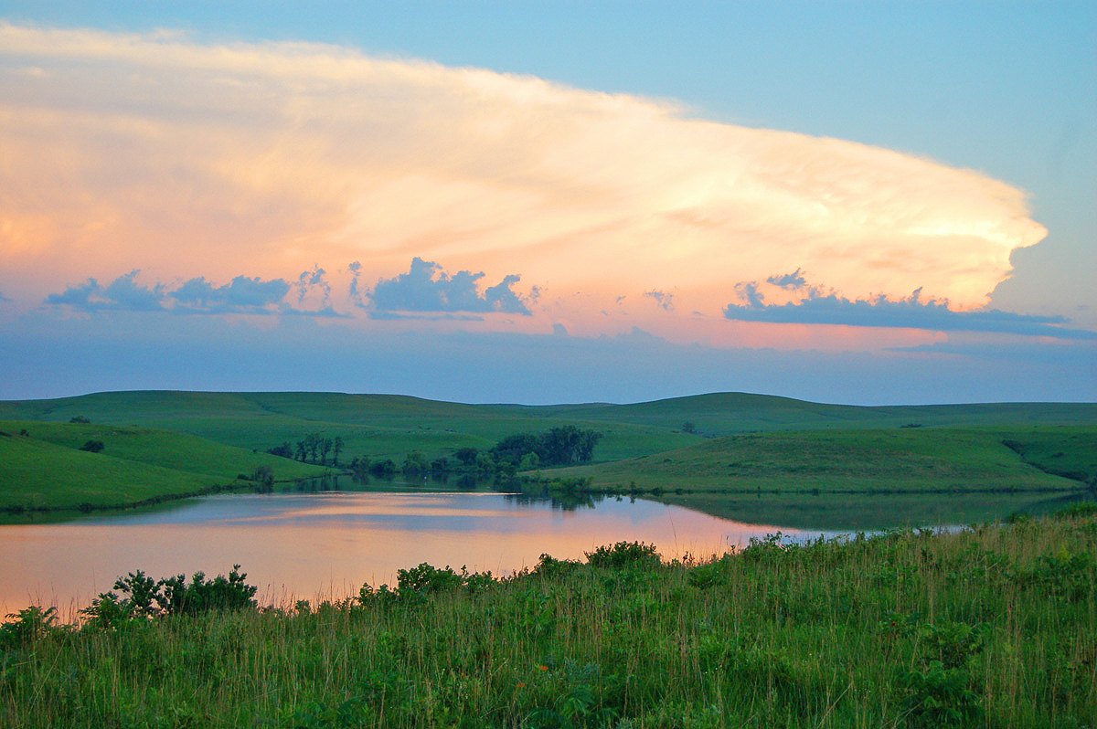 Sharing the Simple Beauty of Kansas - Dyck Arboretum