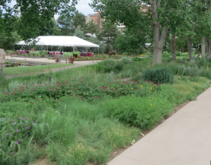 Denver Botanical Gardens