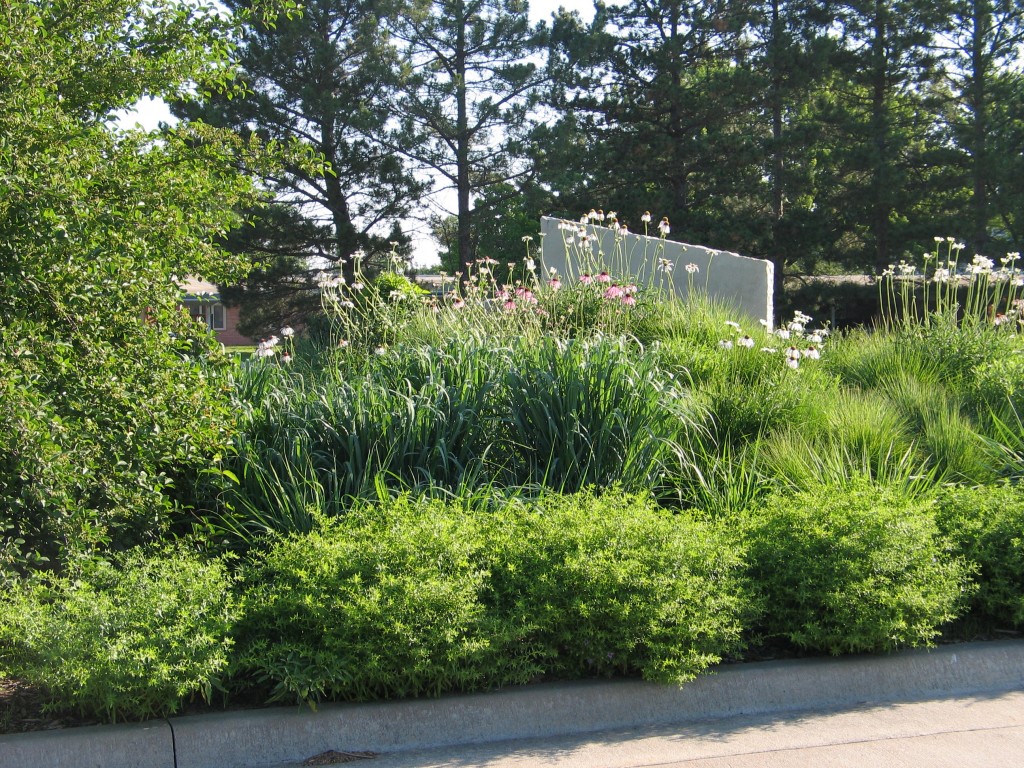 Summer Prairie Garden