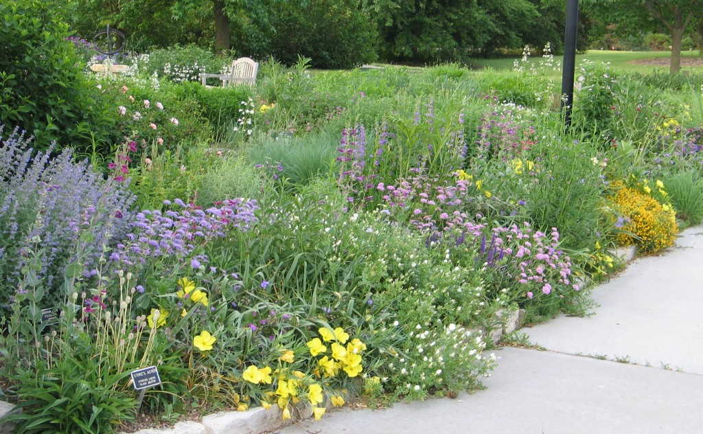 Seven Steps to Planning Your Native Landscape Dyck Arboretum