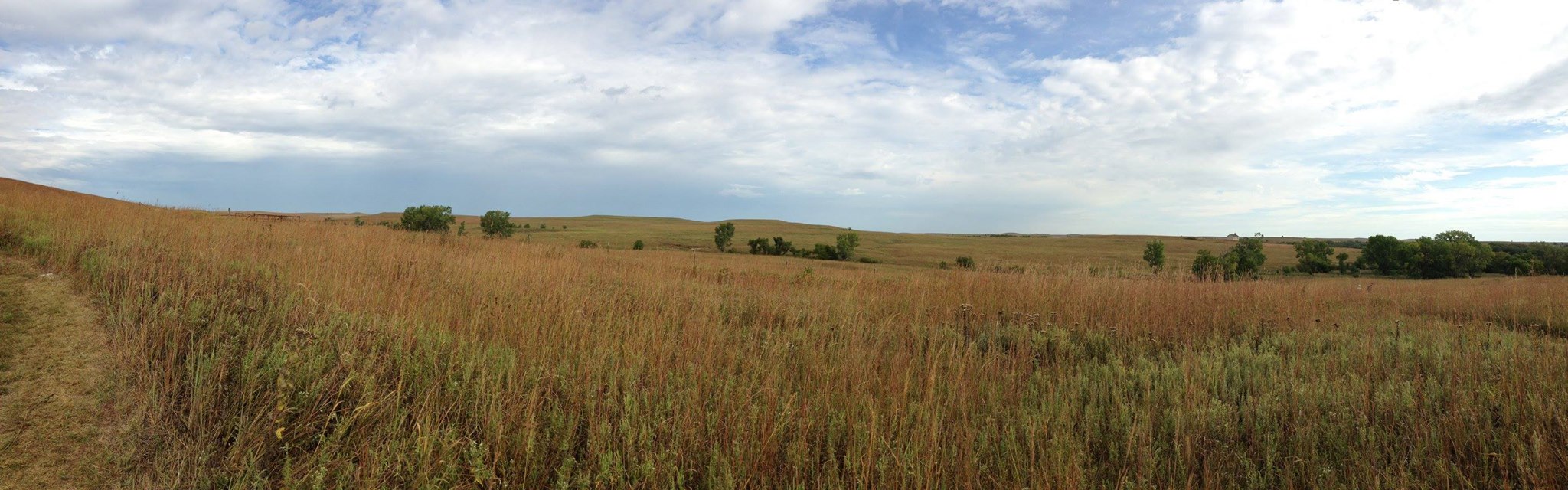 Tallgrass Prairie