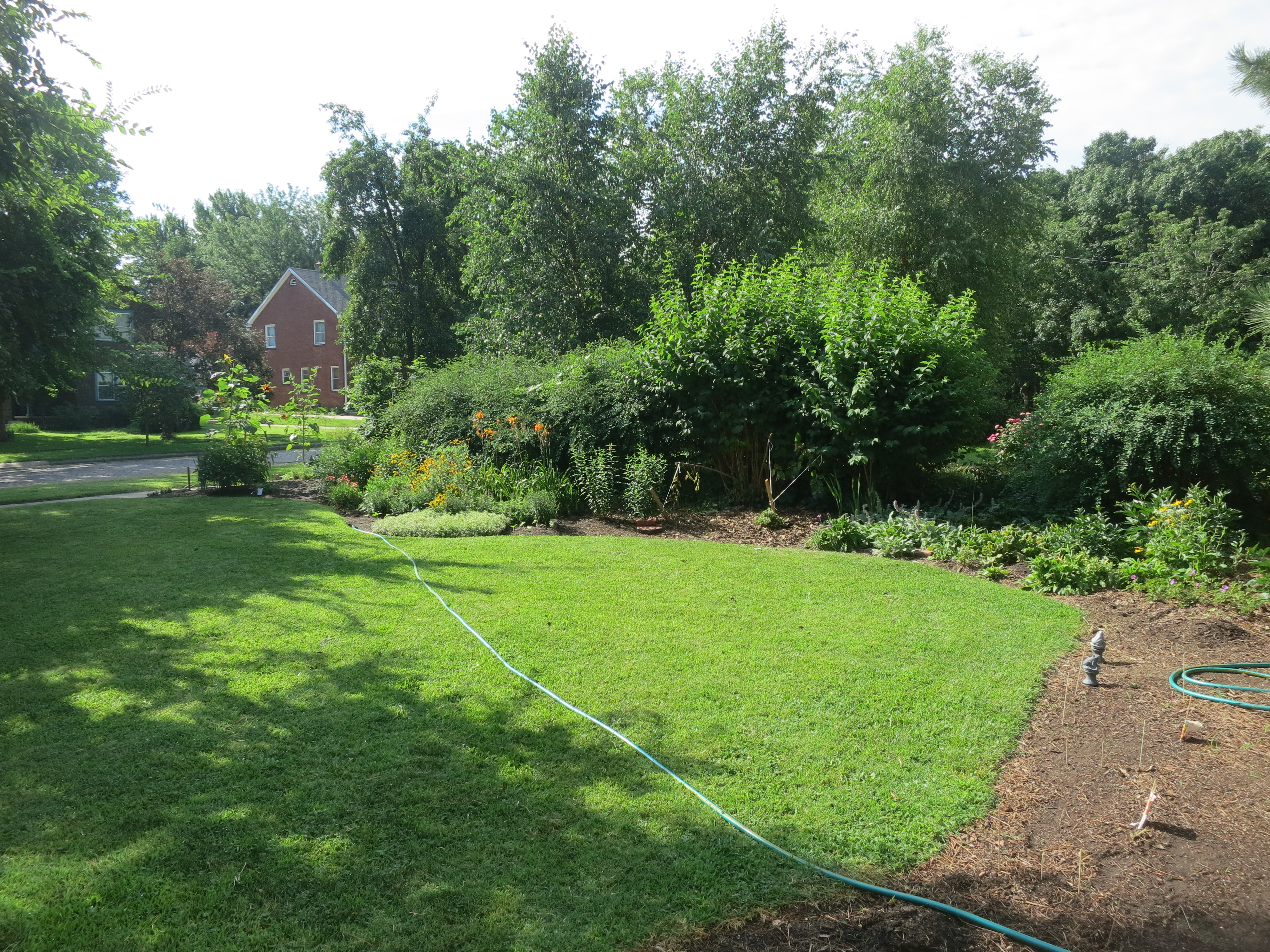 How To Create A Rain Garden Dyck Arboretum