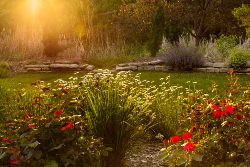 Our Mother's Garden - Dyck Arboretum