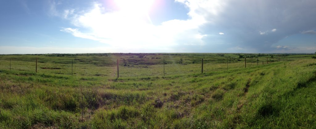 View near the Maxwell observation tower. 