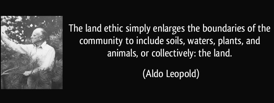 The Land Ethic by by Aldo Leopold 