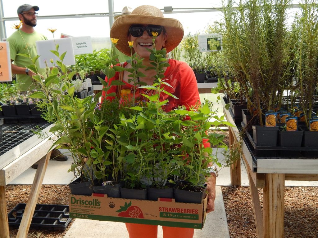 FloraKansas Fall Native Plant Festival: Member Day
