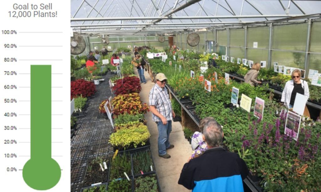 FloraKansas Native Plant Festival Dyck Arboretum