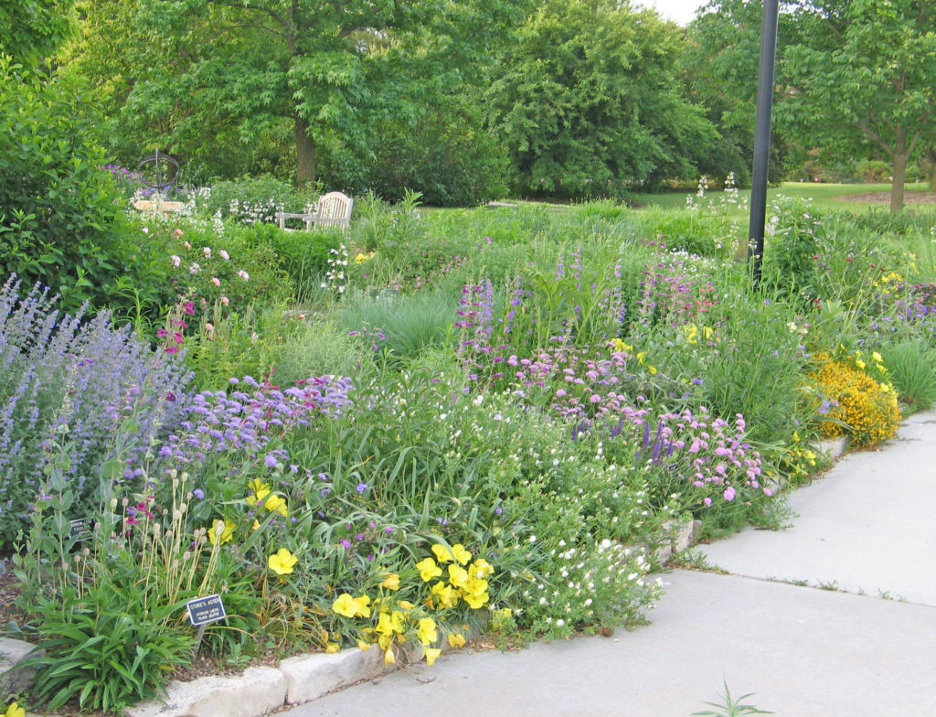 Shrubs for Bees - Dyck Arboretum