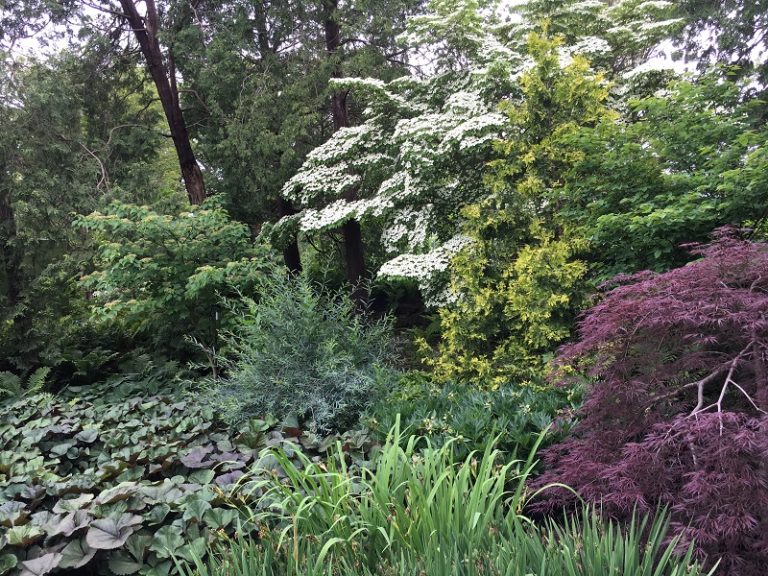 Design Essentials For Small Gardens - Dyck Arboretum