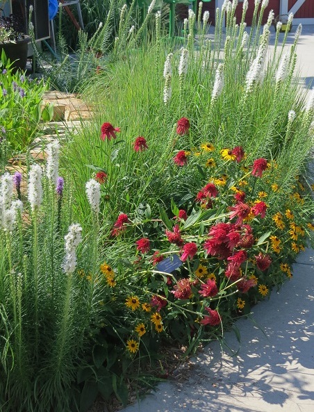 Can One Garden Make A Difference Dyck Arboretum