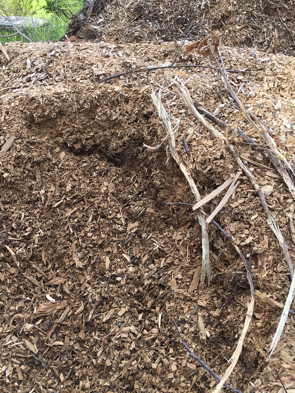 Mulch pile shown here is rough and natural colored, showing our prefered texture and style