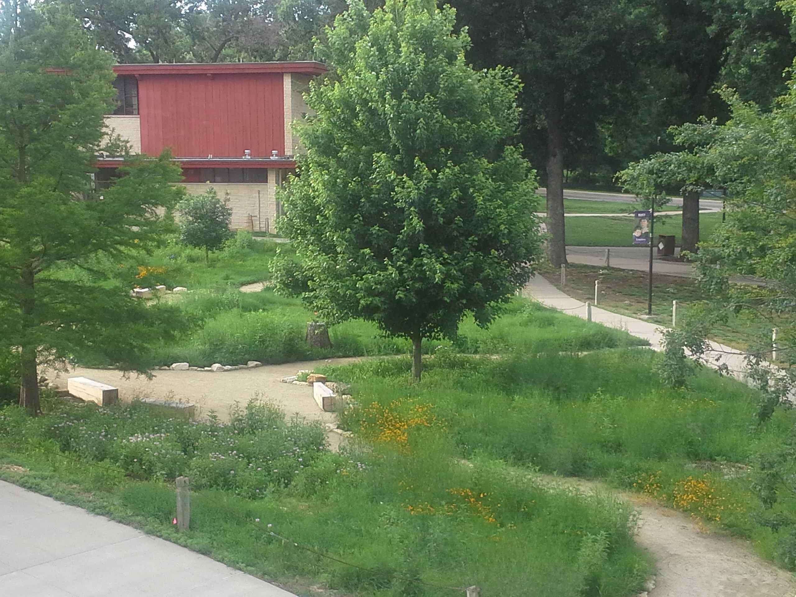 10 Lessons for Urban Native Plant Meadows Dyck Arboretum