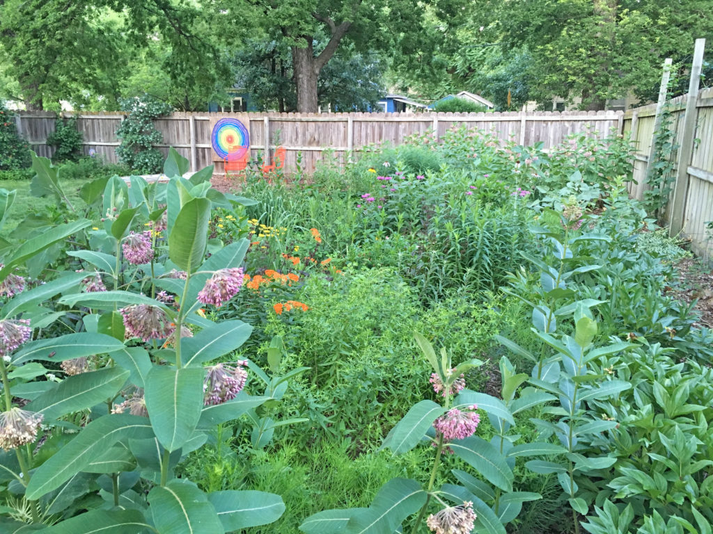 Shrubs for Bees - Dyck Arboretum