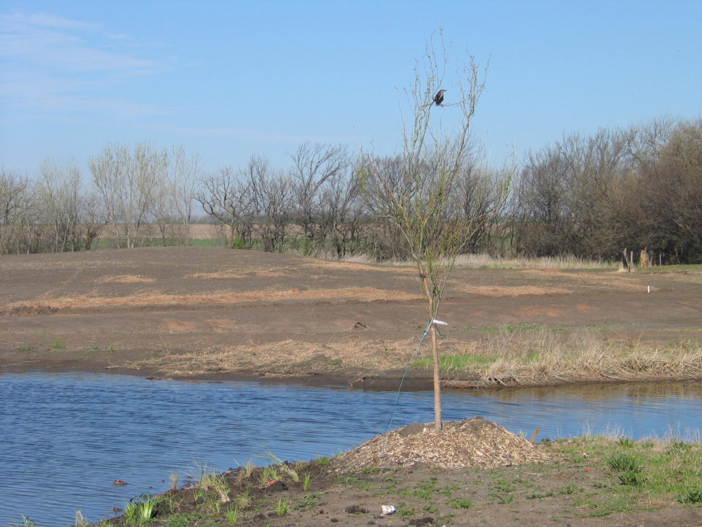 This image has an empty alt attribute; its file name is WaterLinkPlanting-May2009_-026-1024x768.jpg