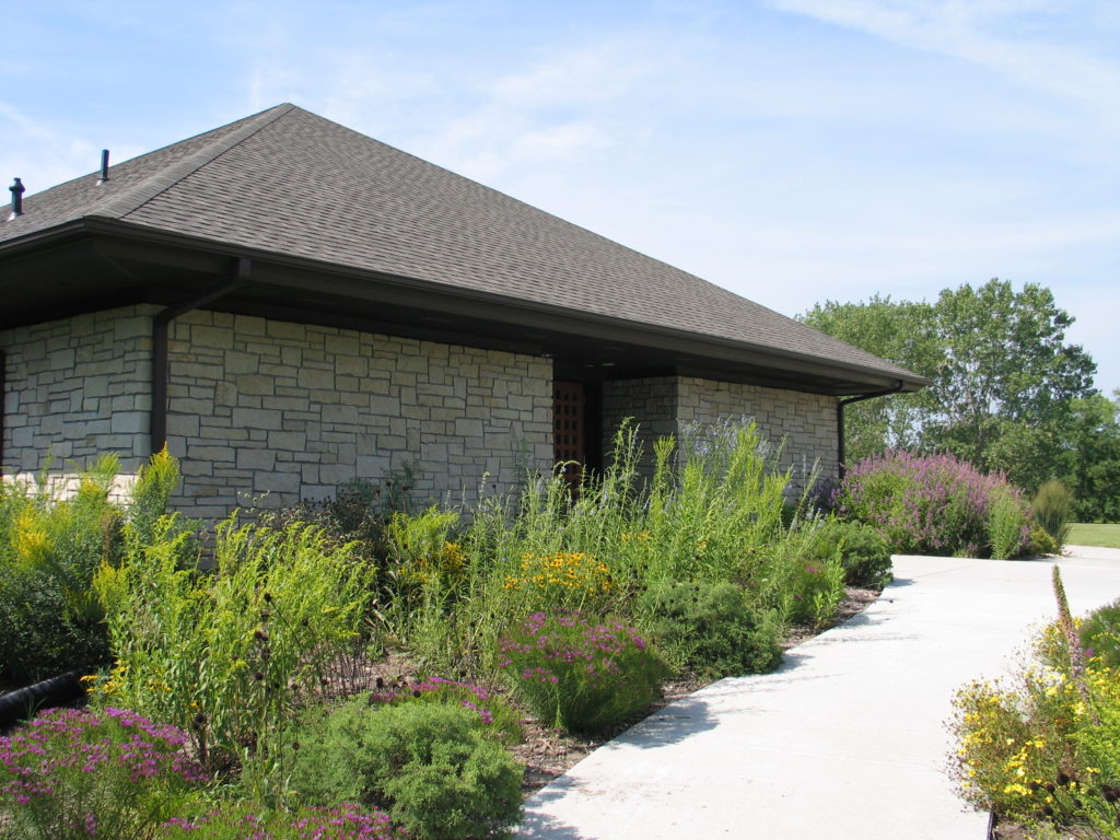 Pine Cone Botany For Beginners - Dyck Arboretum