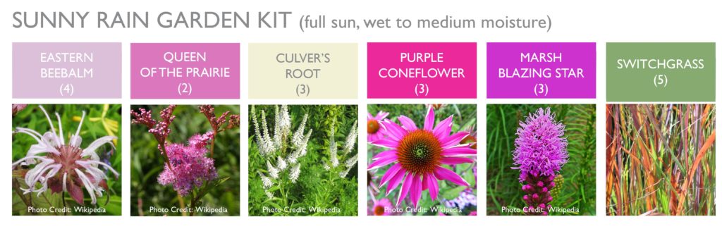 Rain Garden for Pollinators Kit