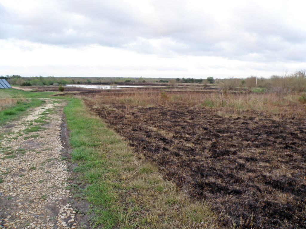 Landowner Prairie Restoration Spotlight Carolyn And Terry Schwab Dyck Arboretum 4145