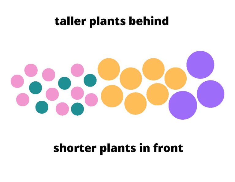 Native Plants Archives Dyck Arboretum