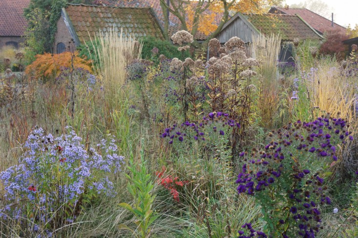 Matrix Planting (Native Plant School ONLINE)