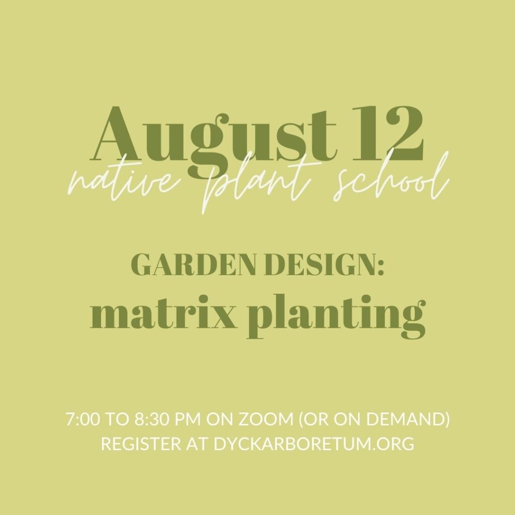 Matrix Planting (Native Plant School ONLINE)