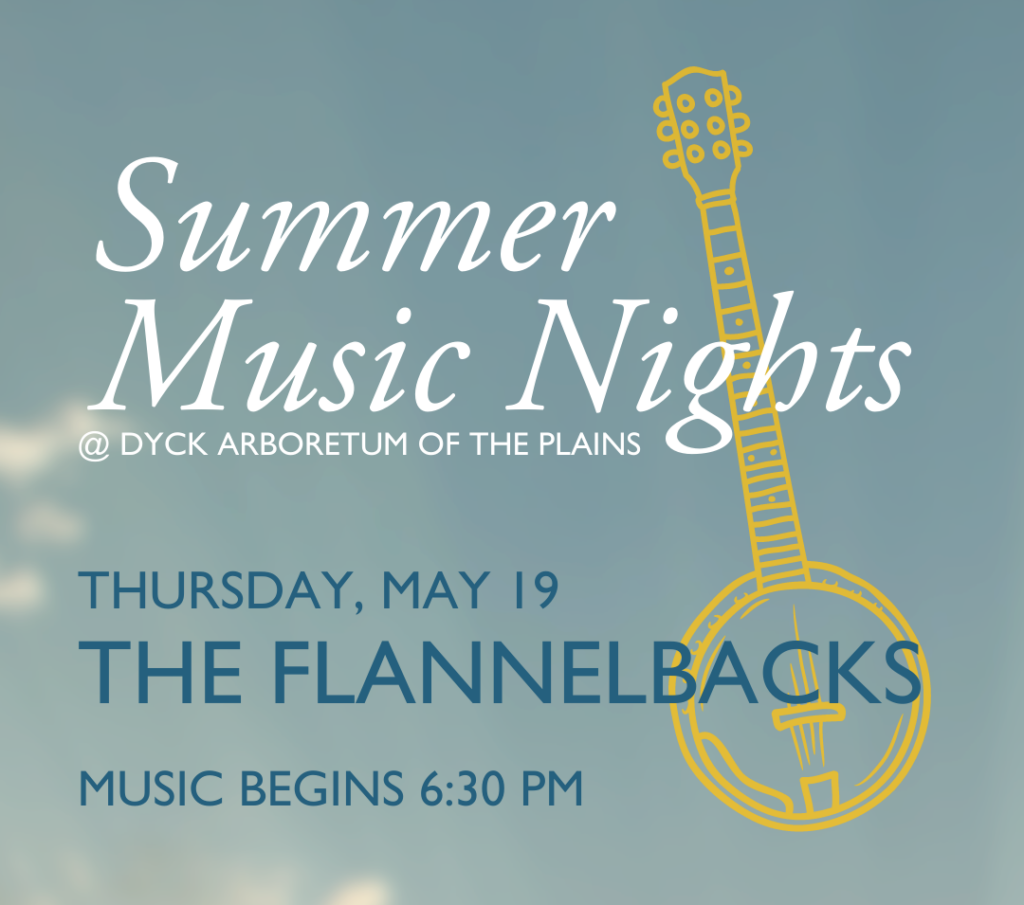 Summer Music Nights: The Flannelbacks