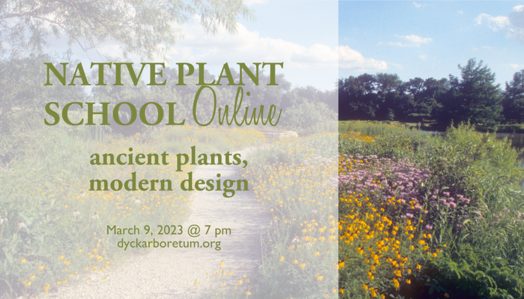 Ancient Plants, Modern Design