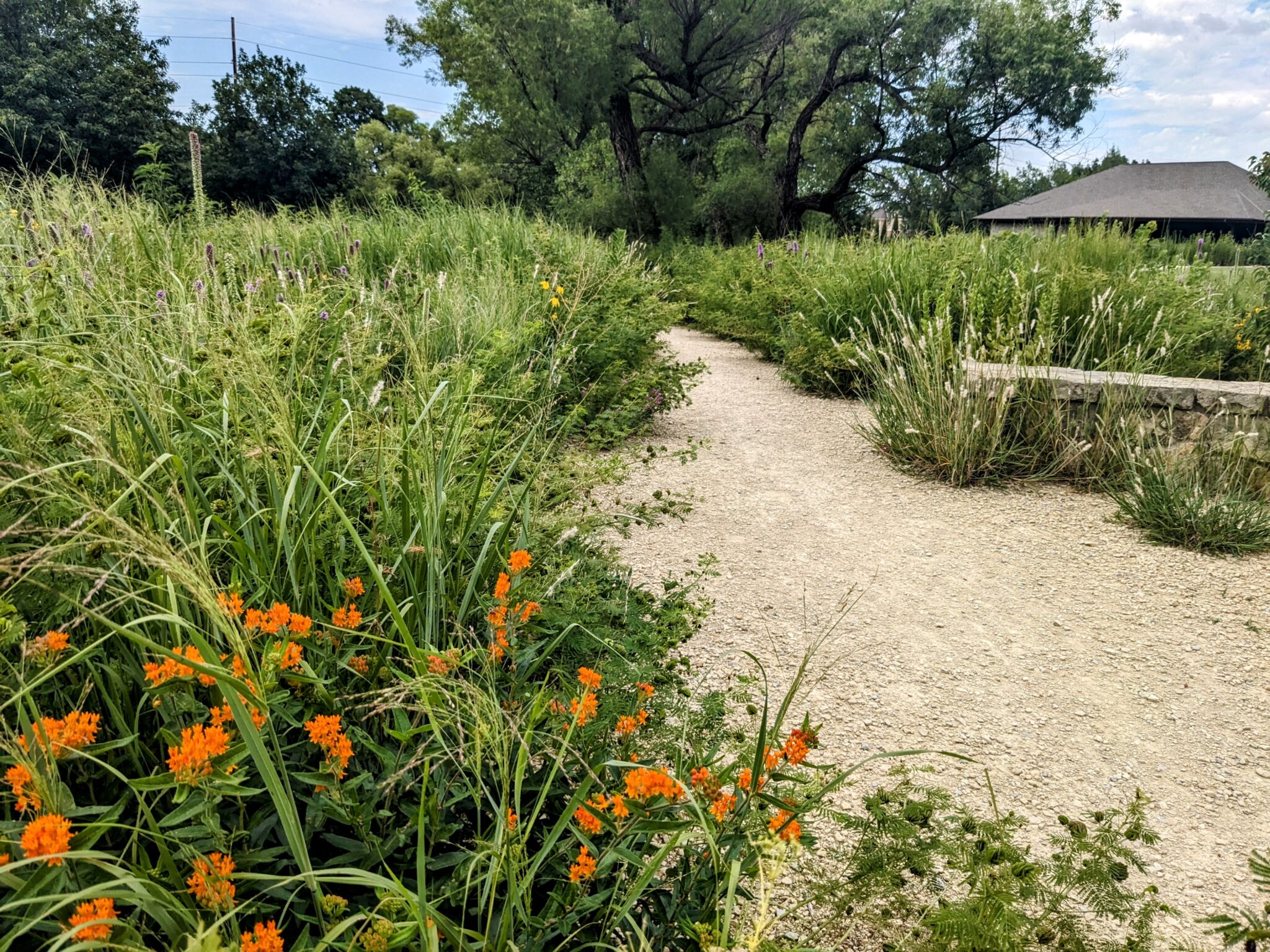 Landscape Design Archives - Dyck Arboretum