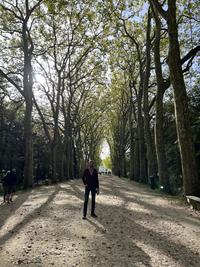 the long entryway lined with plane trees (sycamore) that leads to Chateau de Chenonceau. This is a very memorable scene from one of the most famous gardens of France. 
