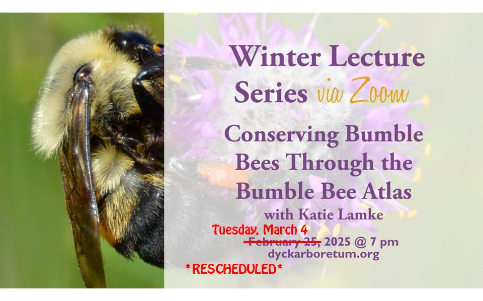 Katie Lamke – Conserving Bumble Bees Through the Bumble Bee Atlas (via zoom)