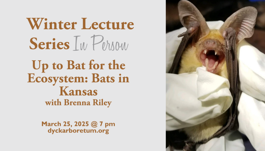 Up to Bat for the Ecosystem: Bats in Kansas