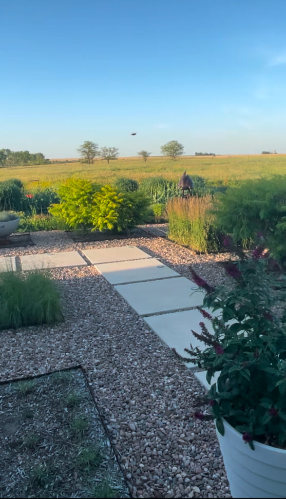 view of hardscaping with meadow in the background, summer
