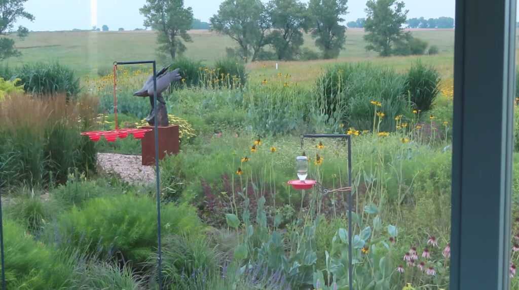 bird feeders with lush meadow in the background