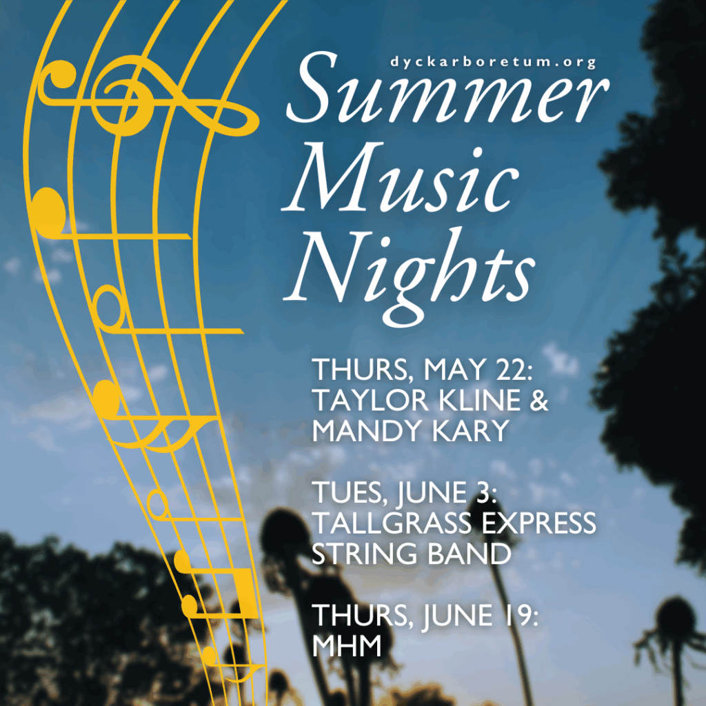 This image has an empty alt attribute; its file name is Summer-Music-Nights-Instagram-Post-1024x1024.png