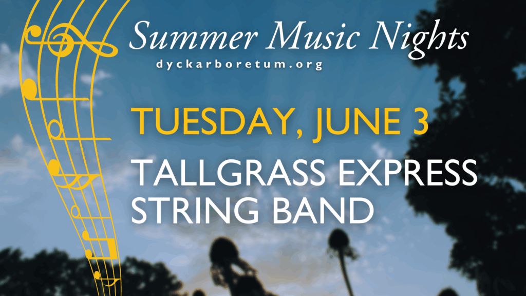 Summer Music Nights: Tallgrass Express String Band