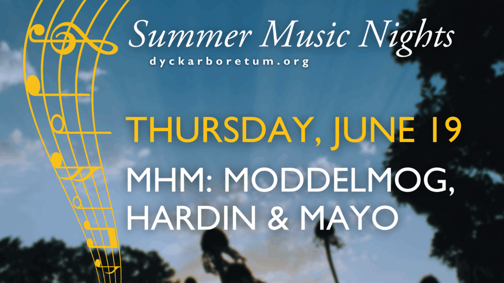 Summer Music Nights: MHM – Moddelmog, Hardin & Mayo