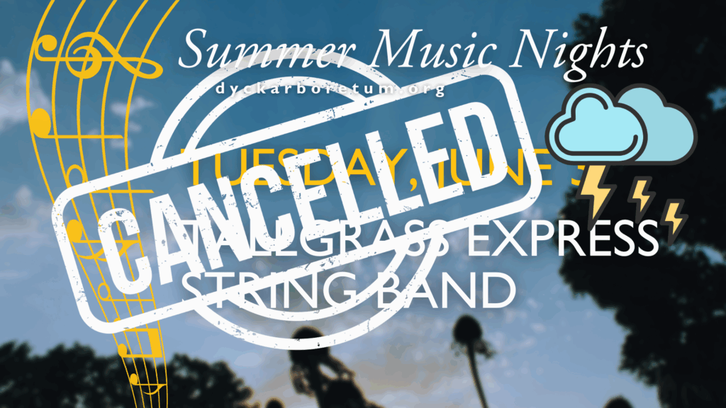 Summer Music Nights: Tallgrass Express String Band