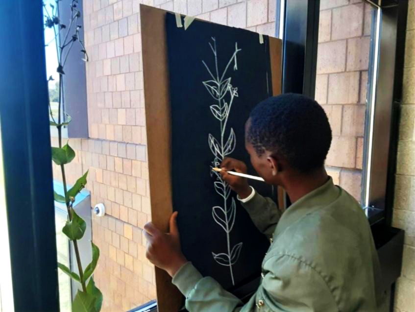 Succession Plan: Drawing the Prairie