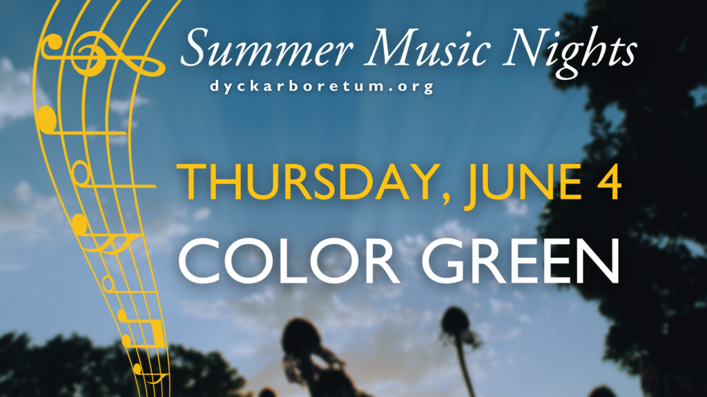 Summer Music Nights: Color Green