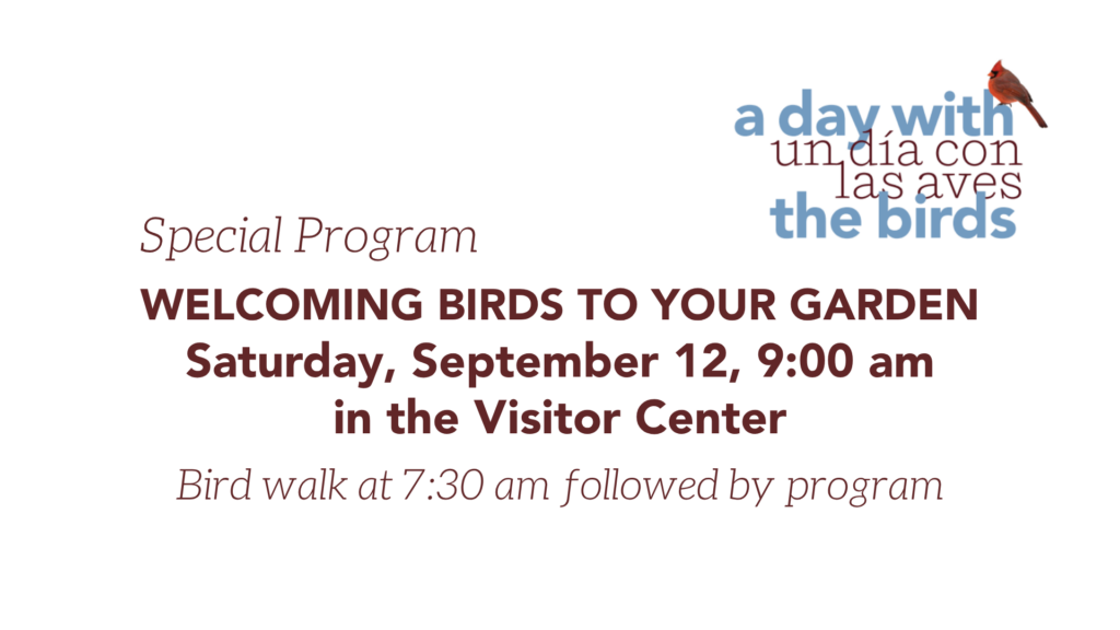 Welcoming Birds to your Garden (with bird walk)