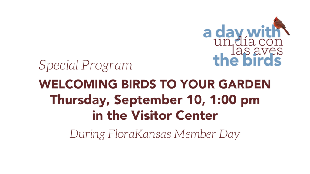 Welcoming Birds to your Garden
