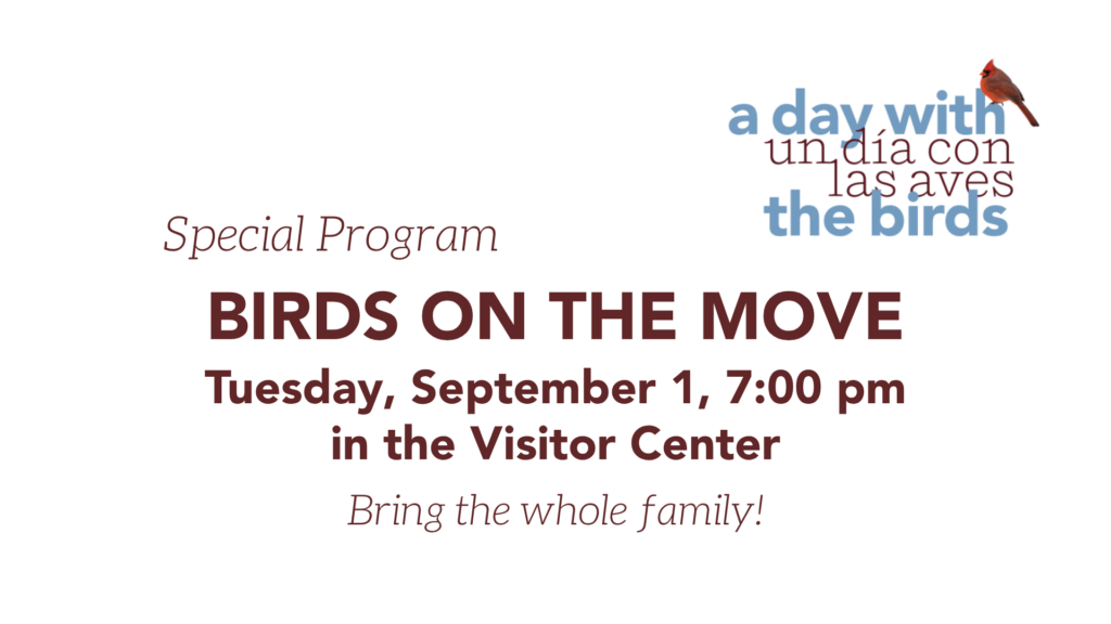 Birds on the Move