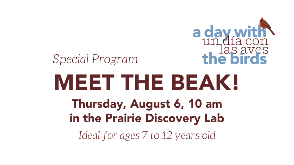 Meet the Beak! (ideal for children ages 7 to 12 years)